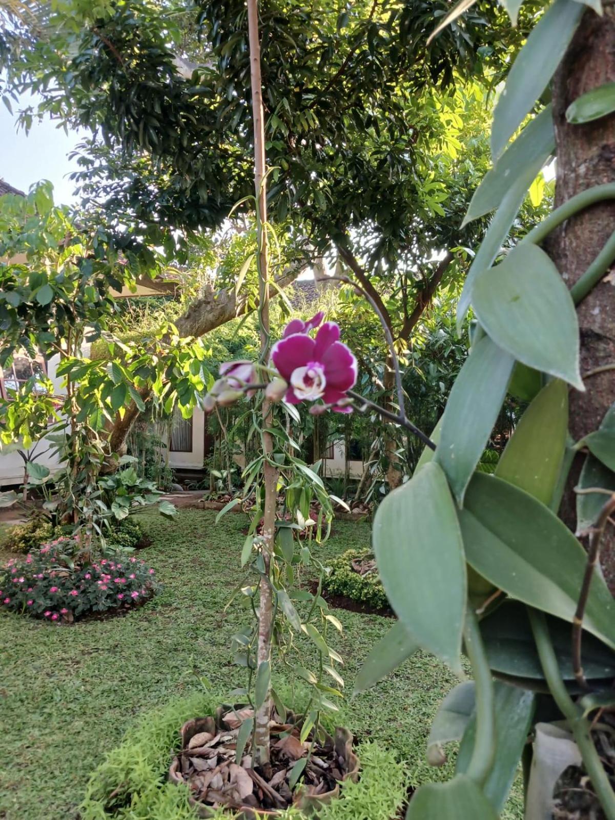 Puri Amartha Ubud