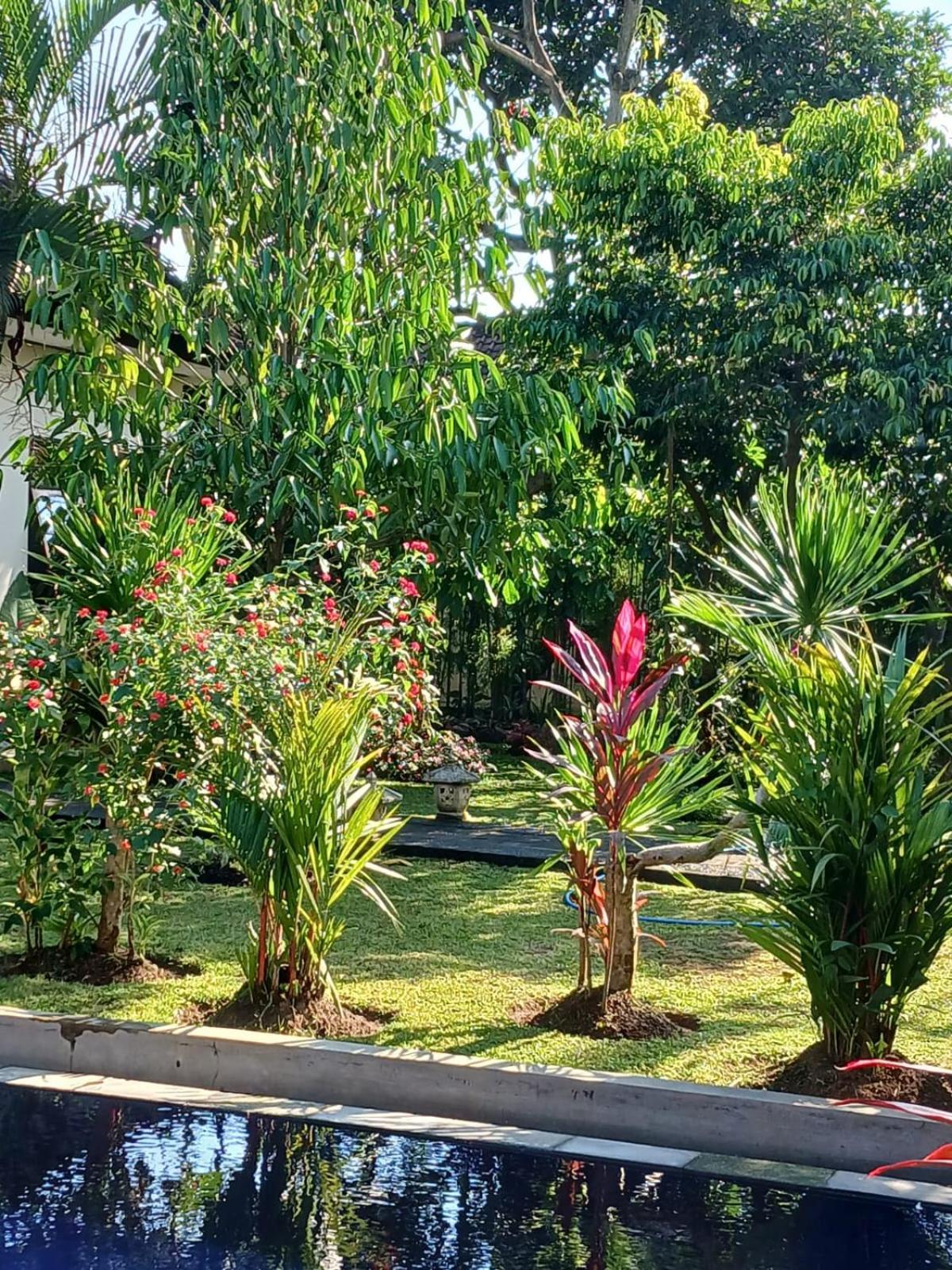 Puri Amartha Accommodatie bij particulieren Ubud