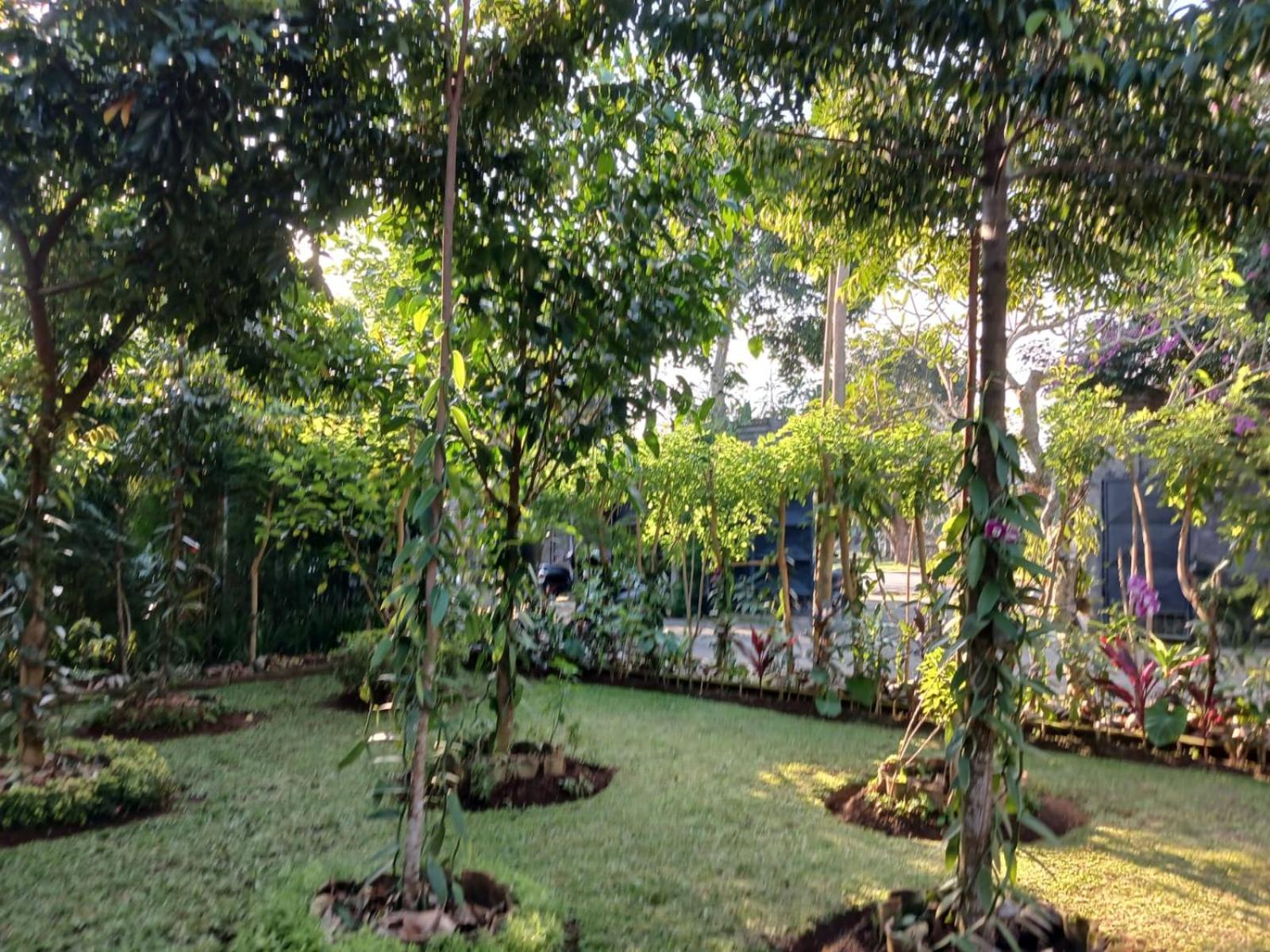 Accommodatie bij particulieren Puri Amartha